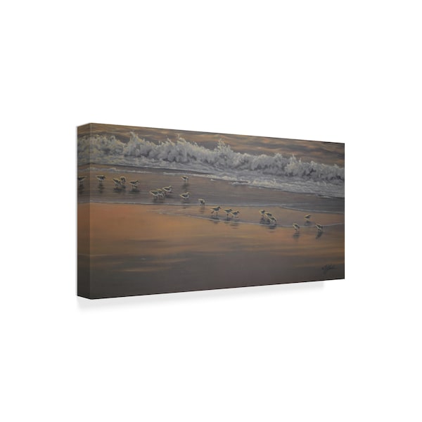 Wilhelm Goebel 'Morning Surf And Sanderlings' Canvas Art,24x47